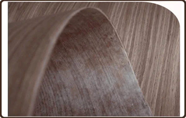 Backed Veneer
